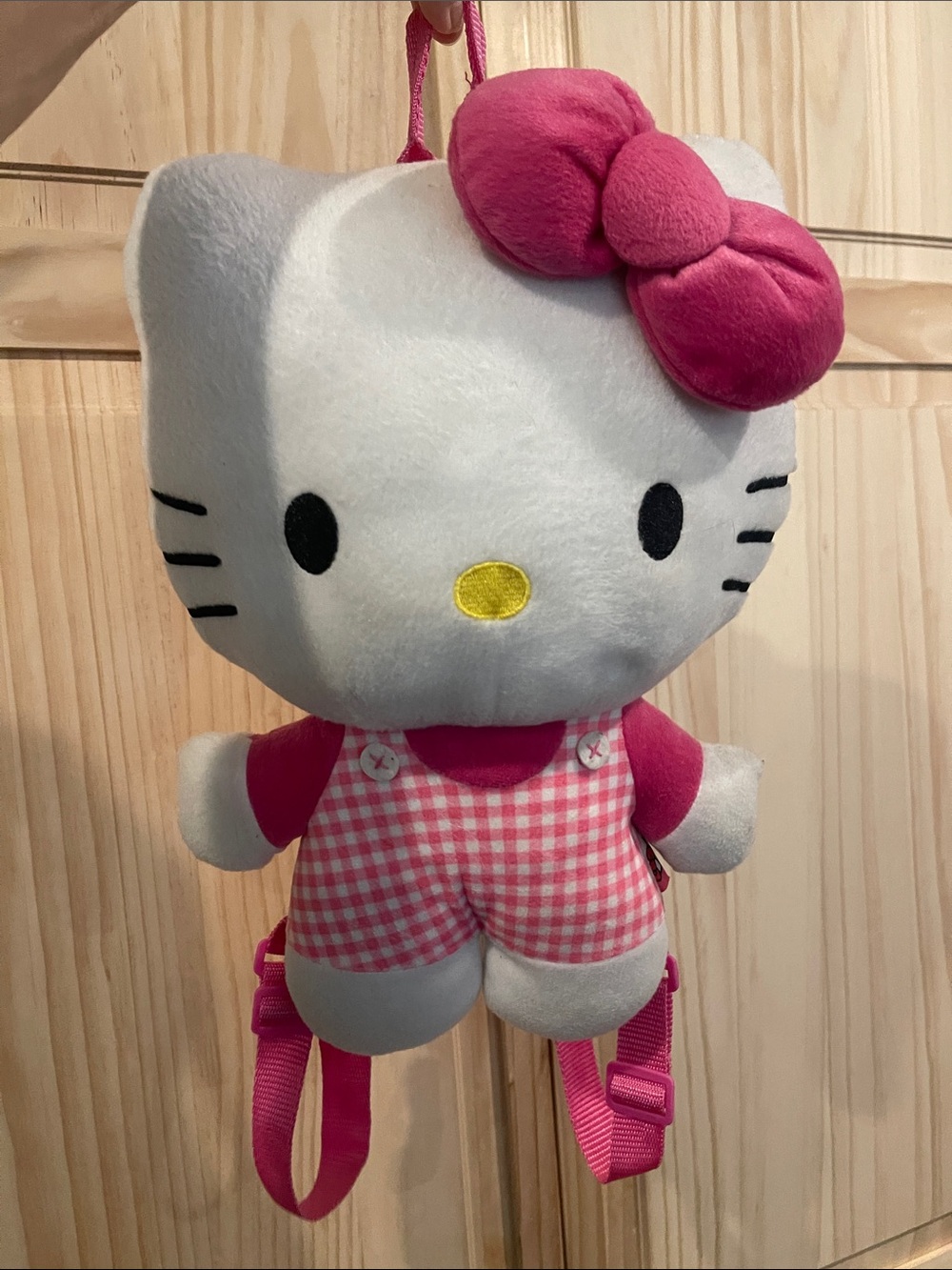 Hello Kitty purse/backpack
